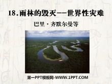 《雨林的毁灭——世界性灾难》PPT课件