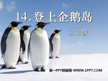 《登上企鹅岛》PPT课件4