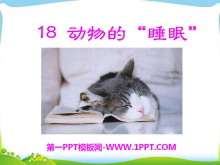 《动物的睡眠》PPT课件5