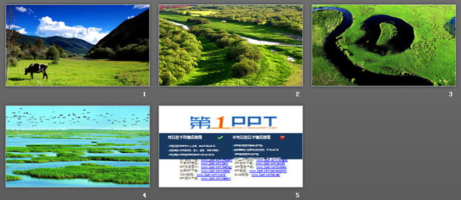 四张精美绿色大自然生态PPT背景图片