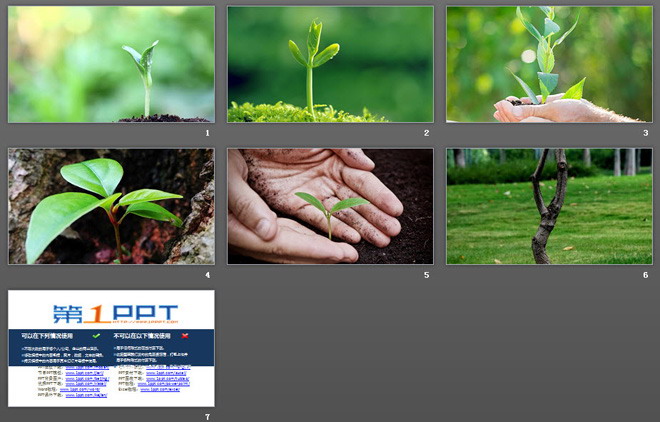 六张植物嫩芽PPT背景图片