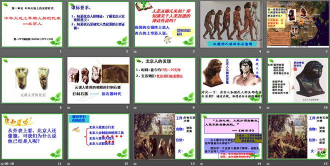 《中华大地早期人类的代表—北京人》中华大地上的史前时代PPT课件2