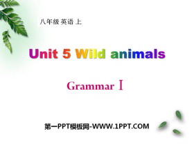 《Wild animals》GrammarPPT