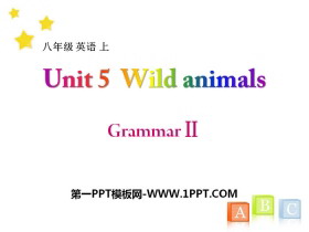 《Wild animals》GrammarPPT课件