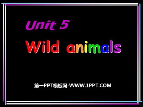 《Wild animals》PPT