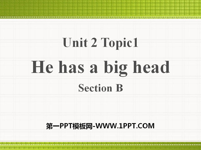 《He has a big head》SectionB PPT
