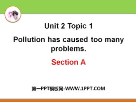 《Pollution has caused too many problems》SectionA PPT