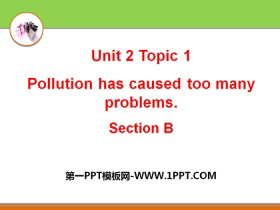《Pollution has caused too many problems》SectionB PPT