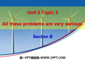 《All these problems are very serious》SectionB PPT