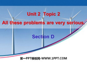 《All these problems are very serious》SectionD PPT