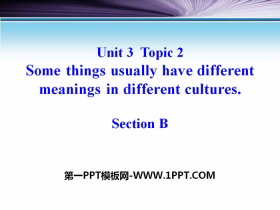《Some things usually have different meanings in different cultures》SectionB PPT