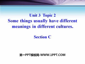 《Some things usually have different meanings in different cultures》SectionC PPT