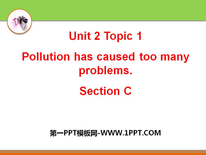 《Pollution has caused too many problems》SectionC PPT