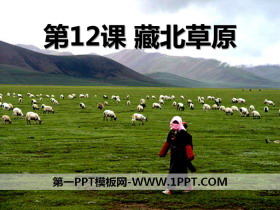 《藏北草原》PPT课件
