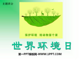 《世界环境日》PPT