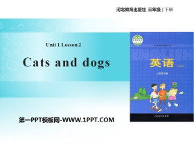《Cats and dogs》Animals on the Farm PPT