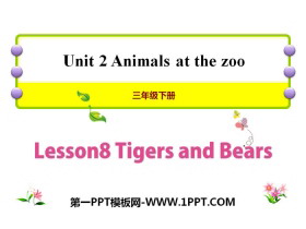 《Tigers and Bears》Animals at the zoo PPT