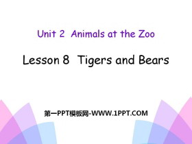 《Tigers and Bears》Animals at the zoo PPT课件
