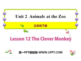 《The Clever Monkey》Animals at the zoo PPT