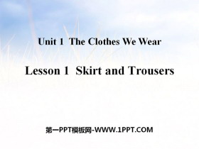 Skirt and TrousersThe Clothes We Wear PPTμ