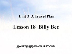 《Billy Bee》A Travel Plan PPT课件