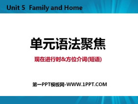 《单元语法聚焦》Family and Home PPT