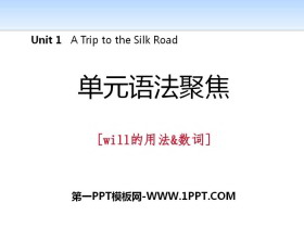 《单元语法聚焦》A Trip to the Silk Road PPT