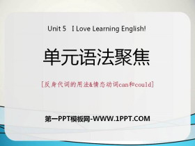《单元语法聚焦》I Love Learning English PPT
