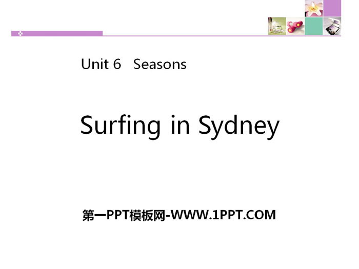 《Surfing in Sydney》Seasons PPT下载