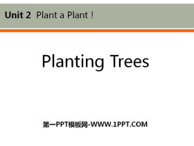 《Planting Trees》Plant a Plant PPT免费课件