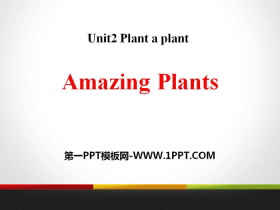 《Amazing Plants》Plant a Plant PPT