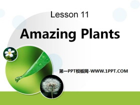 《Amazing Plants》Plant a Plant PPT下载