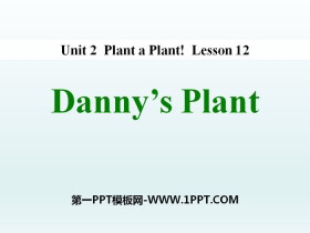 《Danny/s Plant》Plant a Plant PPT教学课件
