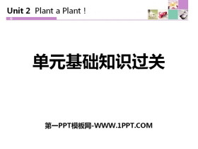《单元基础知识过关》Plant a Plant PPT