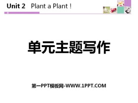 《单元主题写作》Plant a Plant PPT