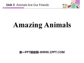 《Amazing Animals》Animals Are Our Friends PPT教学课件