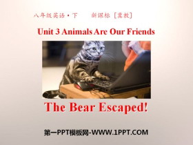 《The Bear Escaped!》Animals Are Our Friends PPT