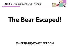 《The Bear Escaped!》Animals Are Our Friends PPT教学课件