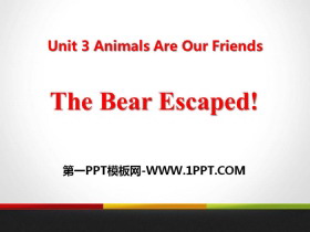 《The Bear Escaped!》Animals Are Our Friends PPT课件下载