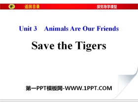 《Save the Tigers》Animals Are Our Friends PPT