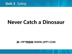 《Never Catch a Dinosaur》Safety PPT教学课件