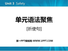 《单元语法聚焦》Safety PPT