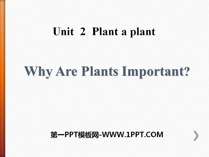 《Why Are Plants Important?》Plant a Plant PPT