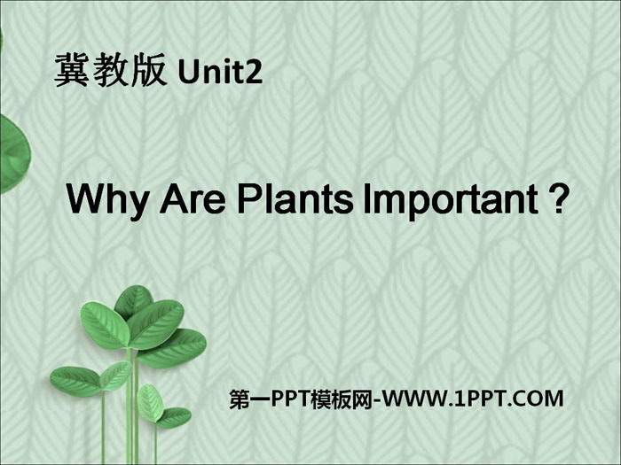 《Why Are Plants Important?》Plant a Plant PPT课件