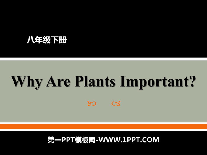 《Why Are Plants Important?》Plant a Plant PPT教学课件