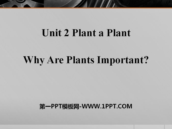 《Why Are Plants Important?》Plant a Plant PPT免费下载