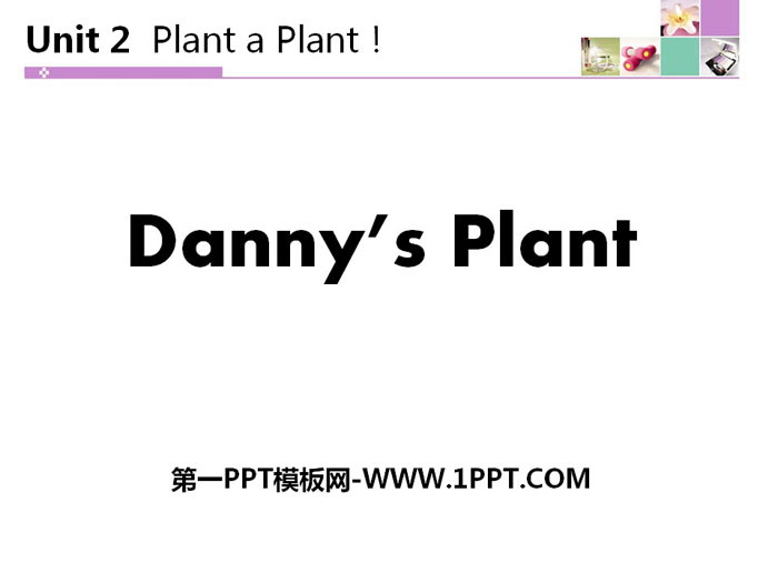 《Danny\s Plant》Plant a Plant PPT免费课件
