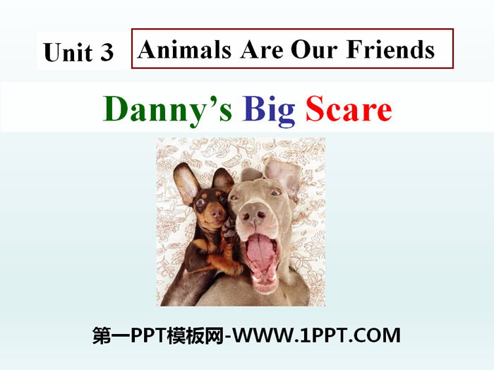 《Danny\s Big Scare》Animals Are Our Friends PPT课件