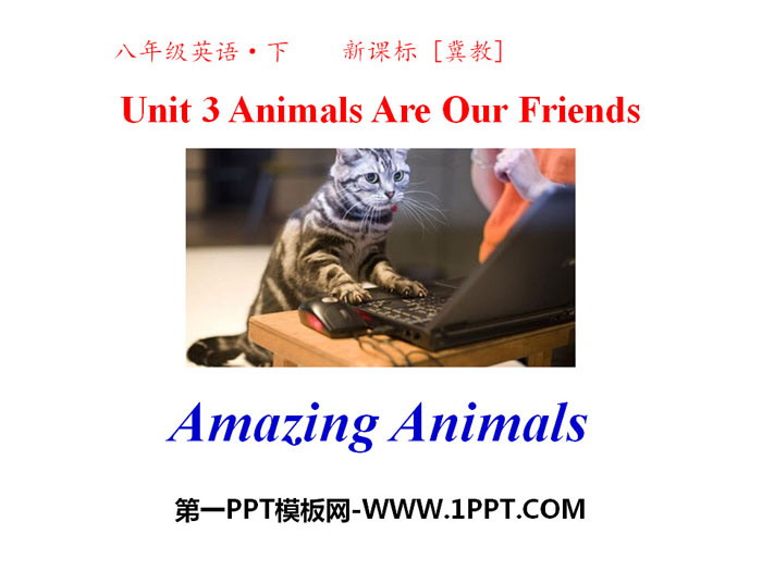 《Amazing Animals》Animals Are Our Friends PPT