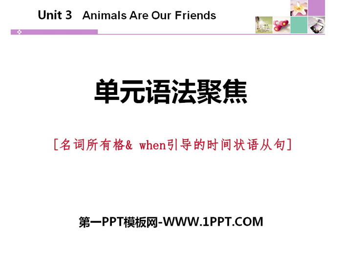 《单元语法聚焦》Animals Are Our Friends PPT
